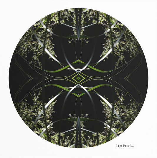 35. Return to the Mandala