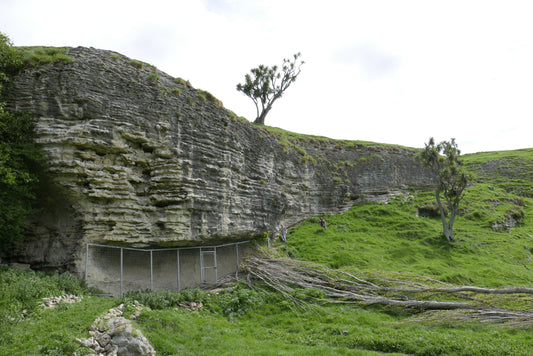 Maungati