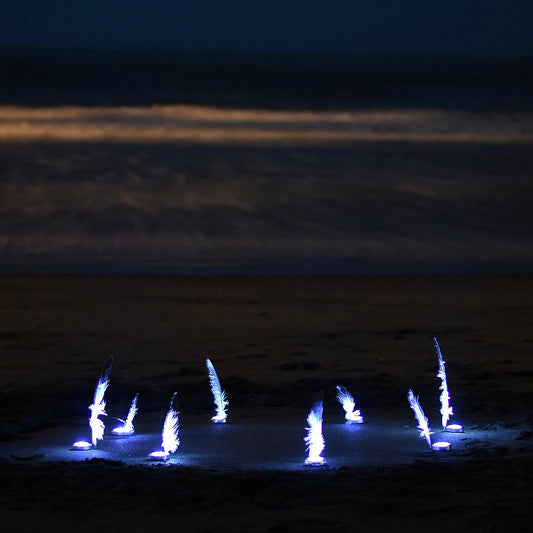 18. The Feathers - Night test shoot - Taylor's Mistake