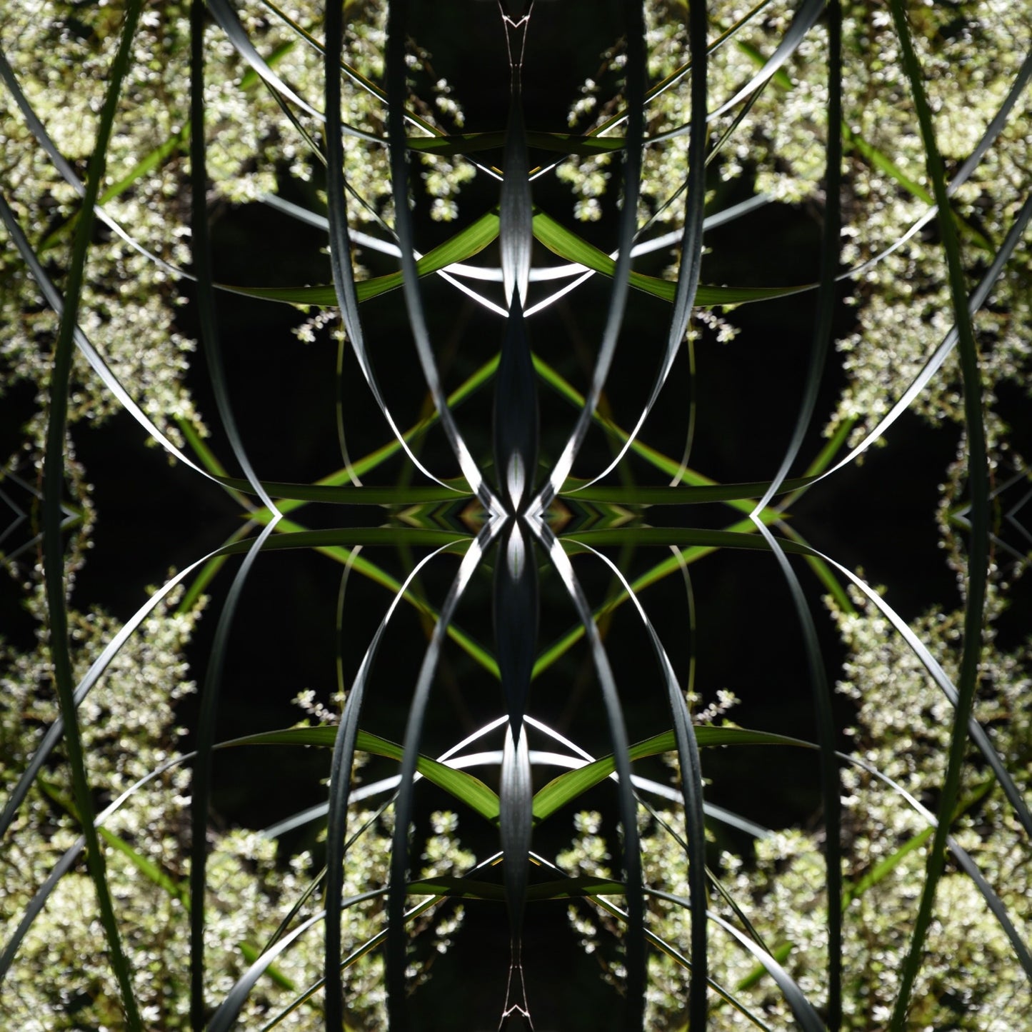 Dark Ruatahi Portal 4 - On Canvas