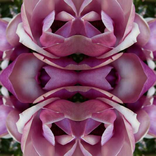 Magnolia Heart 2 - Canvas