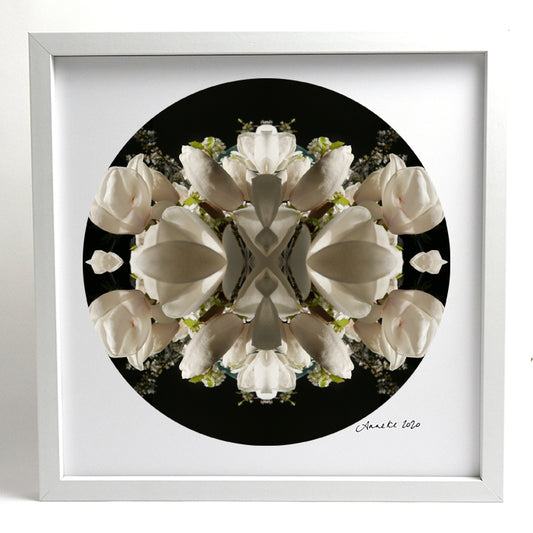 Magnolia Crown 2 - Small Mandala Print