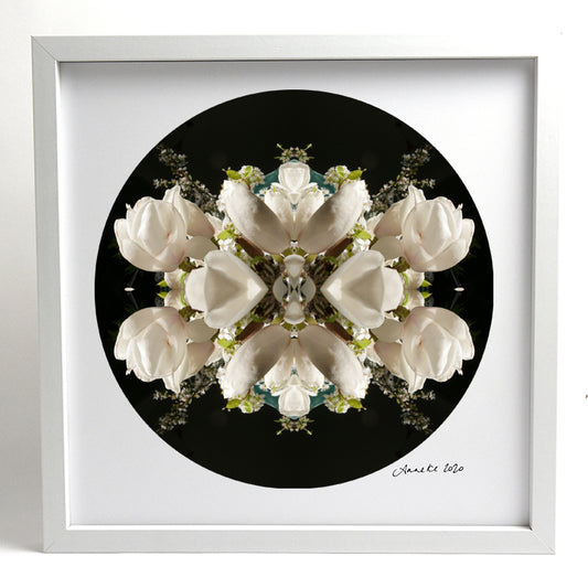 Magnolia Crown 3 - Small Mandala Print