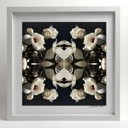 Magnolia Light 1 - Small Mandala Print