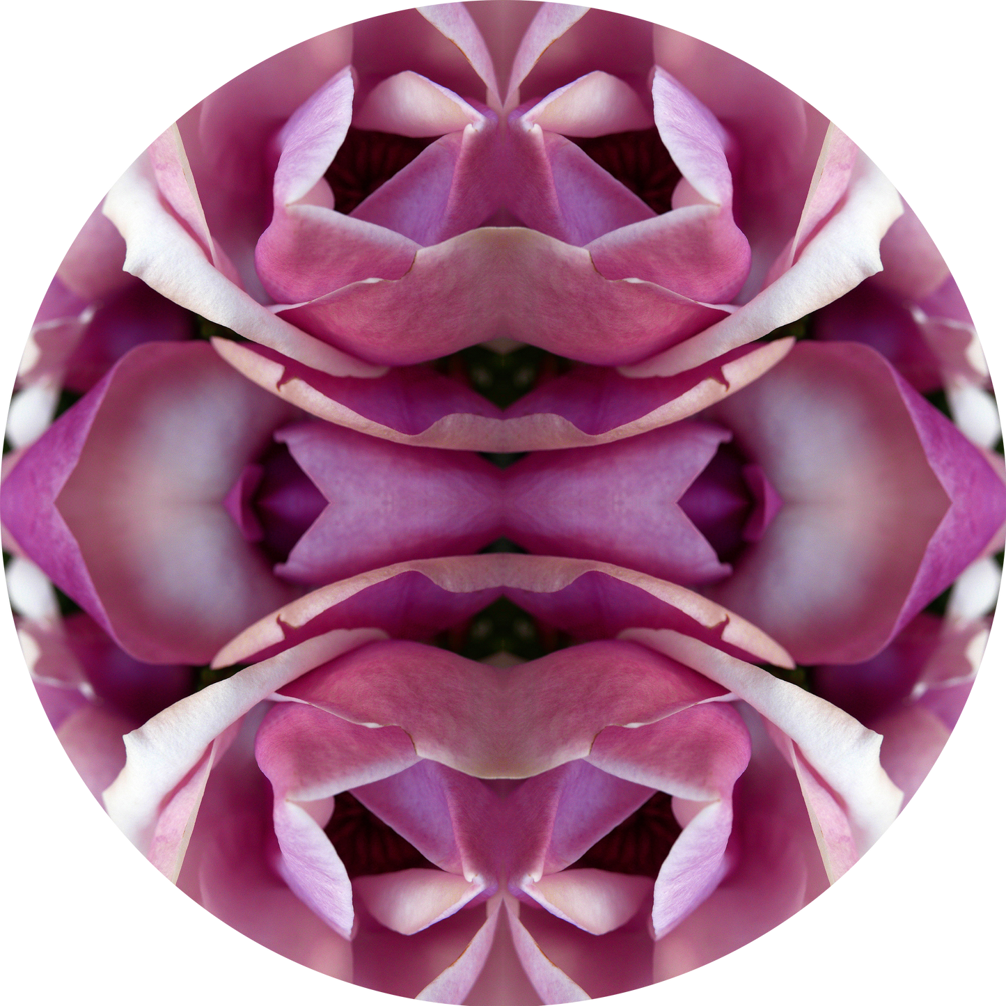 Magnolia Heart 2 - Small Mandala Print