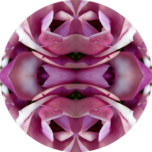 Magnolia Heart 2 - Round