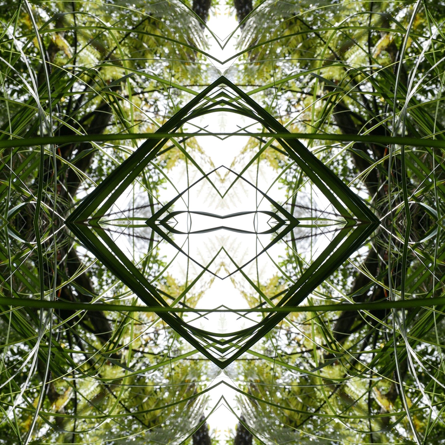 Ruatahi Diamond 4 - Canvas