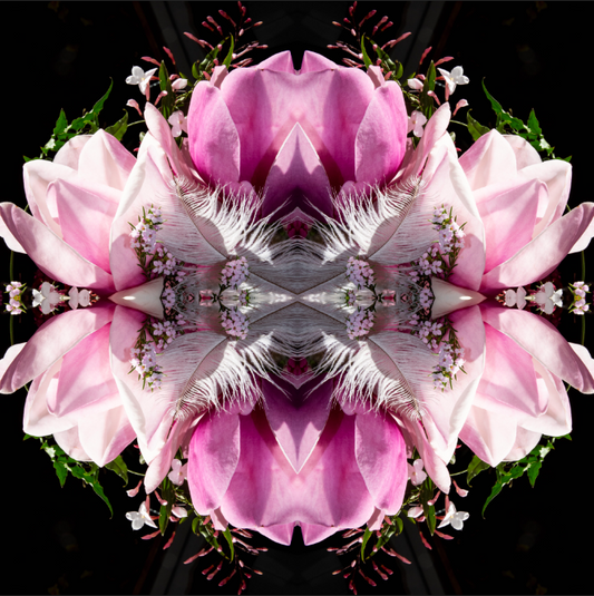 Velvet Heart  1 - Canvas