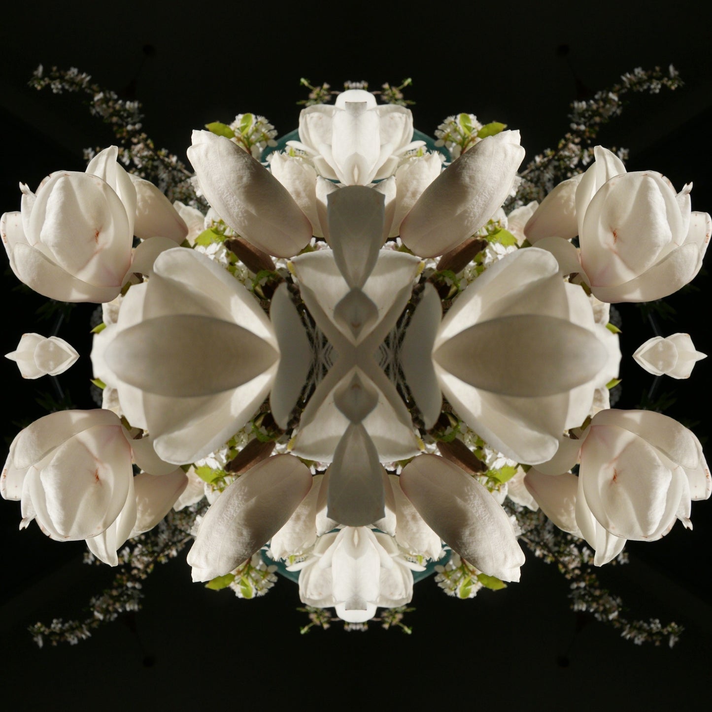 Magnolia Crown 2 - Canvas