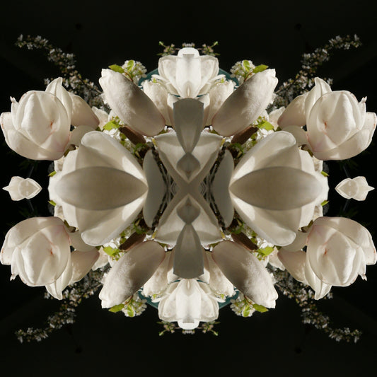 Magnolia Crown 2 - Canvas