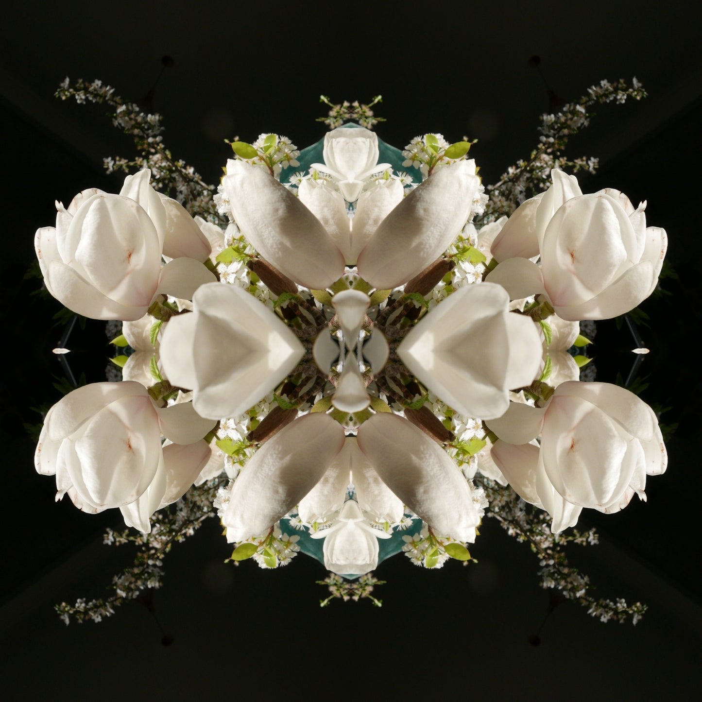 Magnolia Crown 3 - Canvas