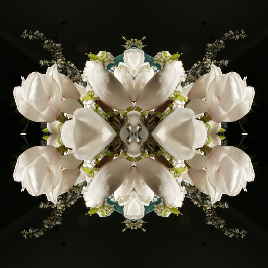 Magnolia Crown 3 - Canvas