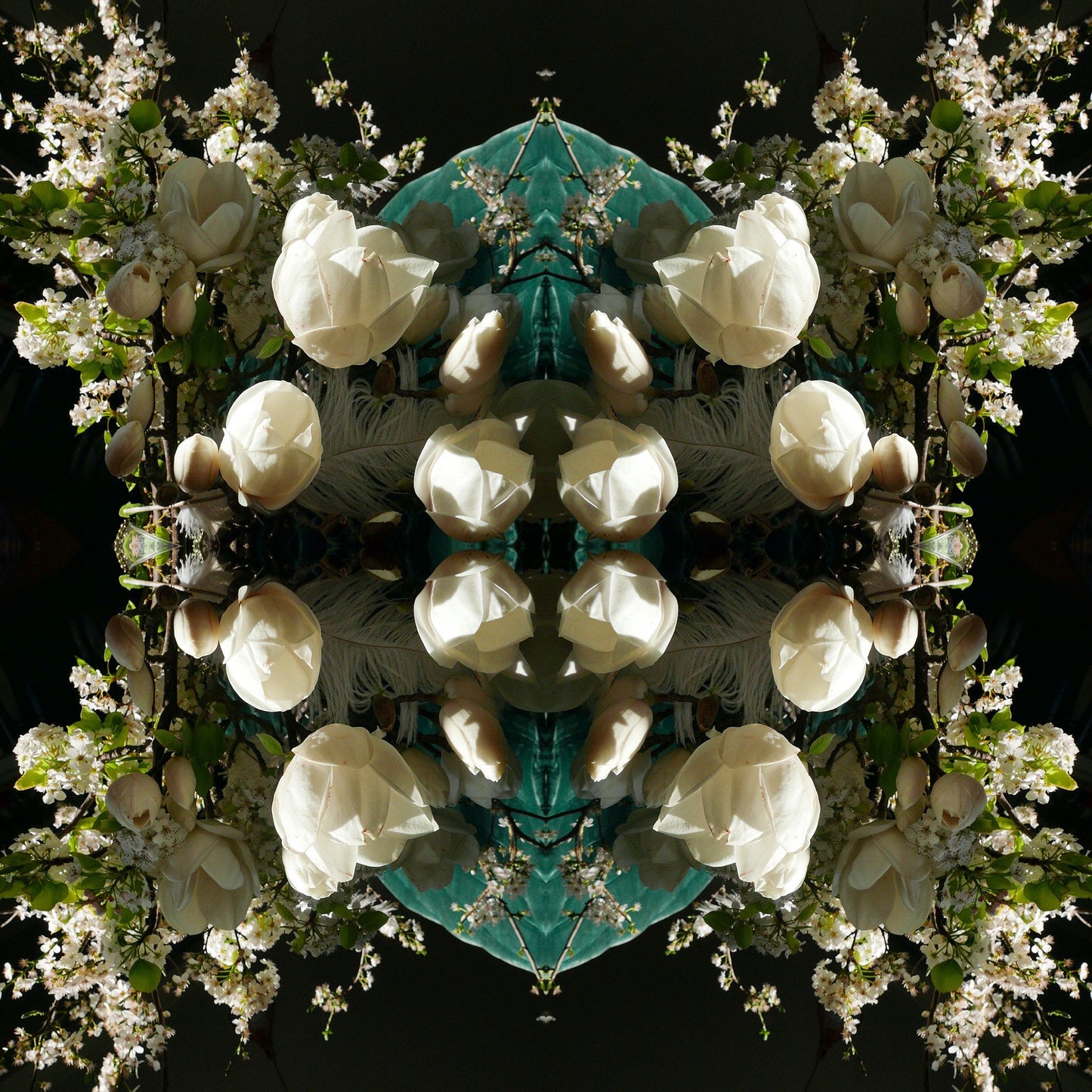 White Magnolia Crown 5 - Lightbox