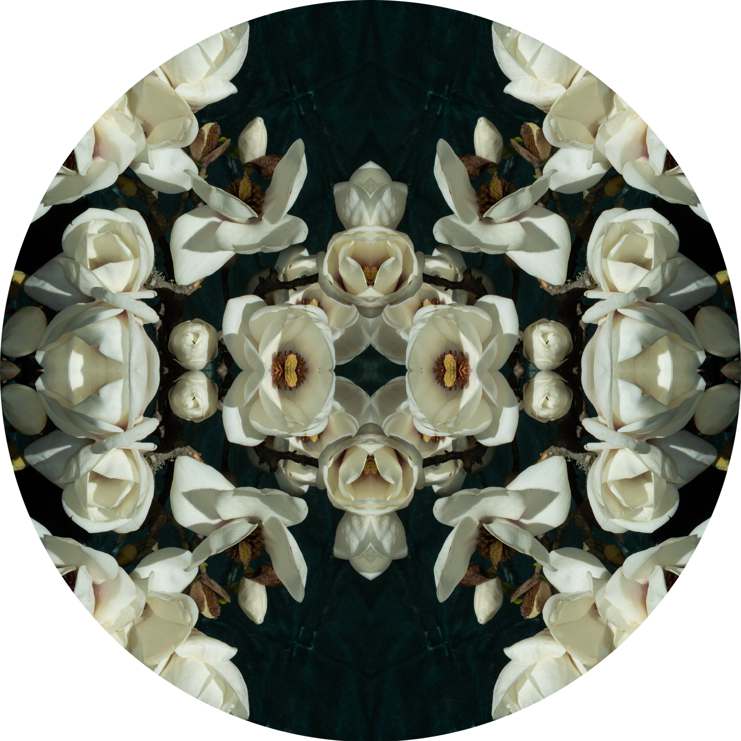 Magnolia Crown 1 - Round