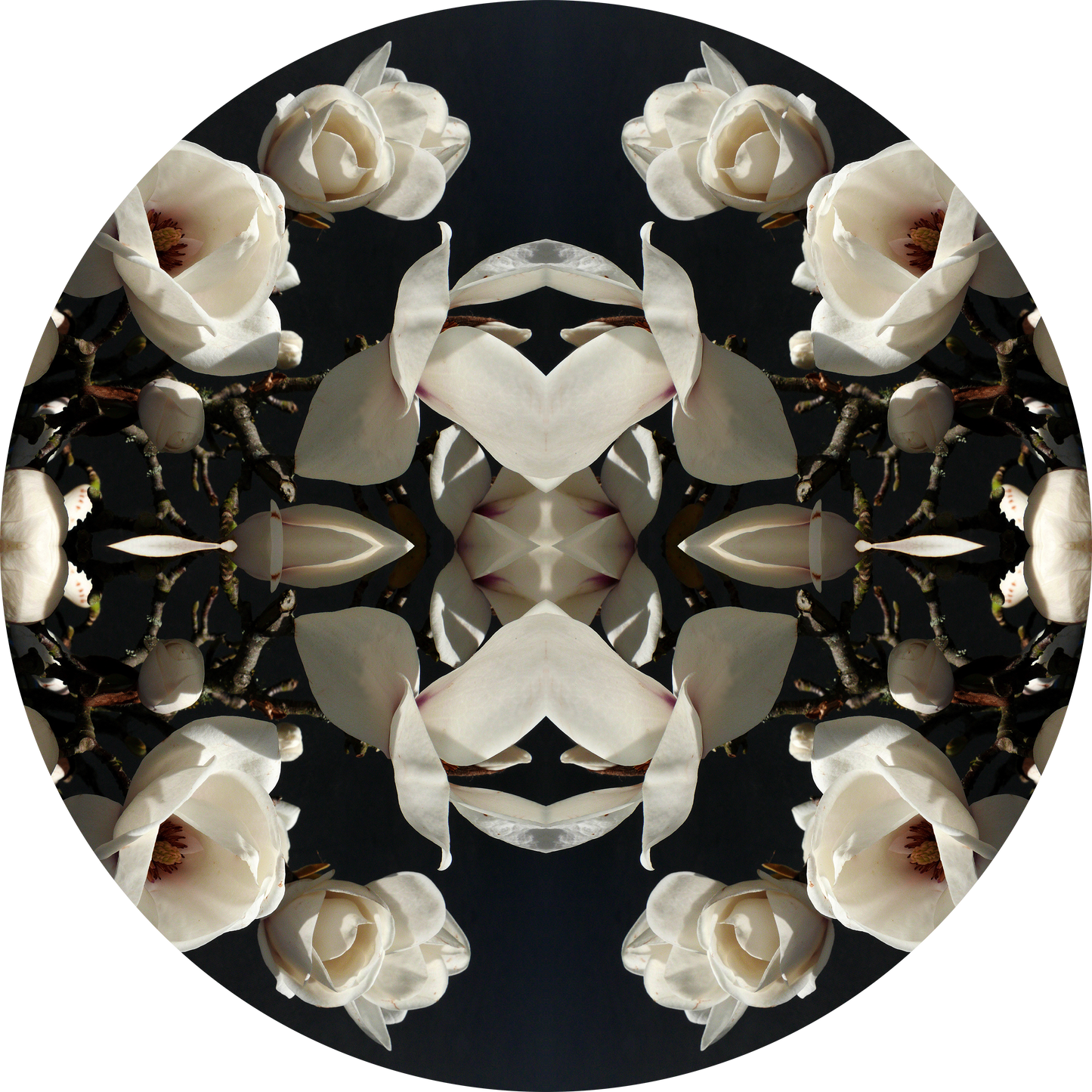 Magnolia Light 1 - Round