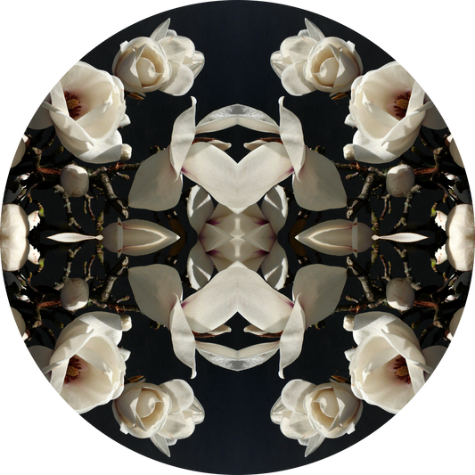 Magnolia Light 1 - Round