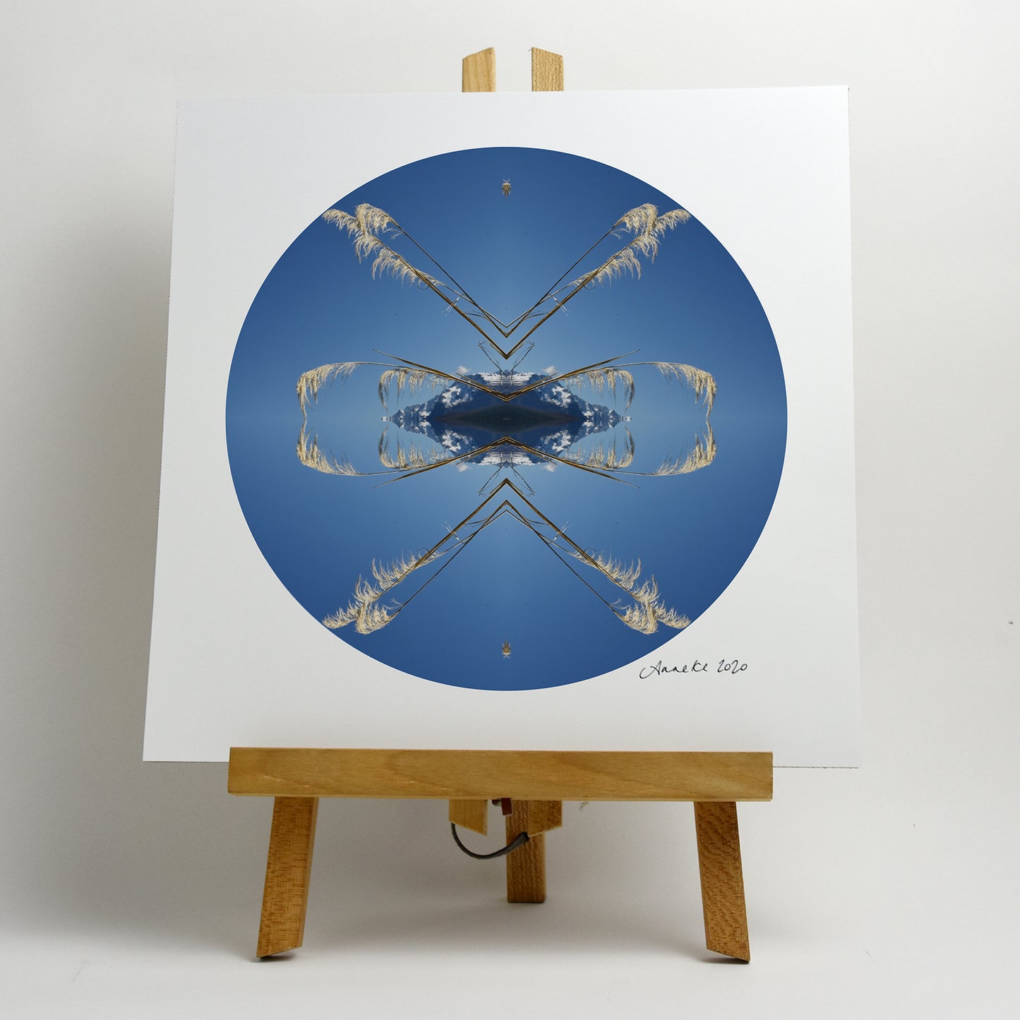 Aoraki Toi Toi 1 - Small Mandala Print
