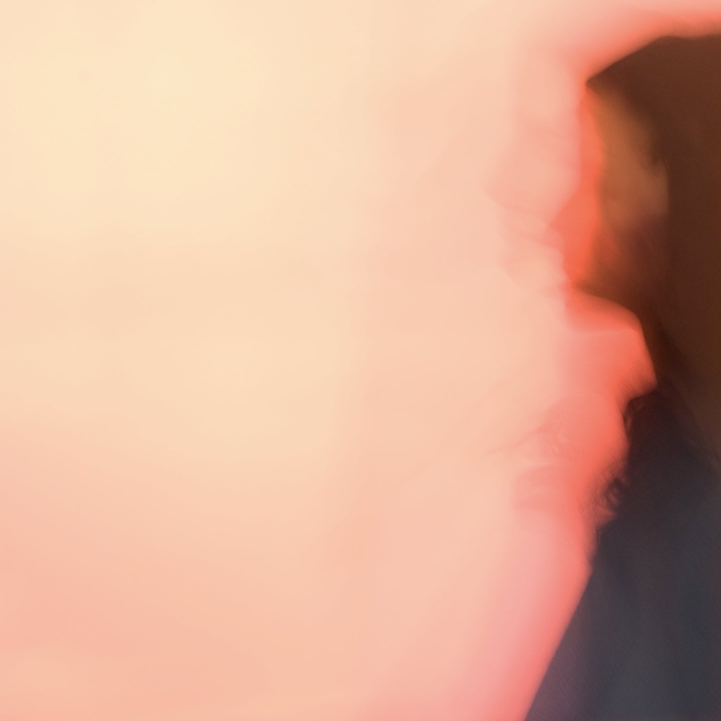 Fashion Abstracts Cherry 2