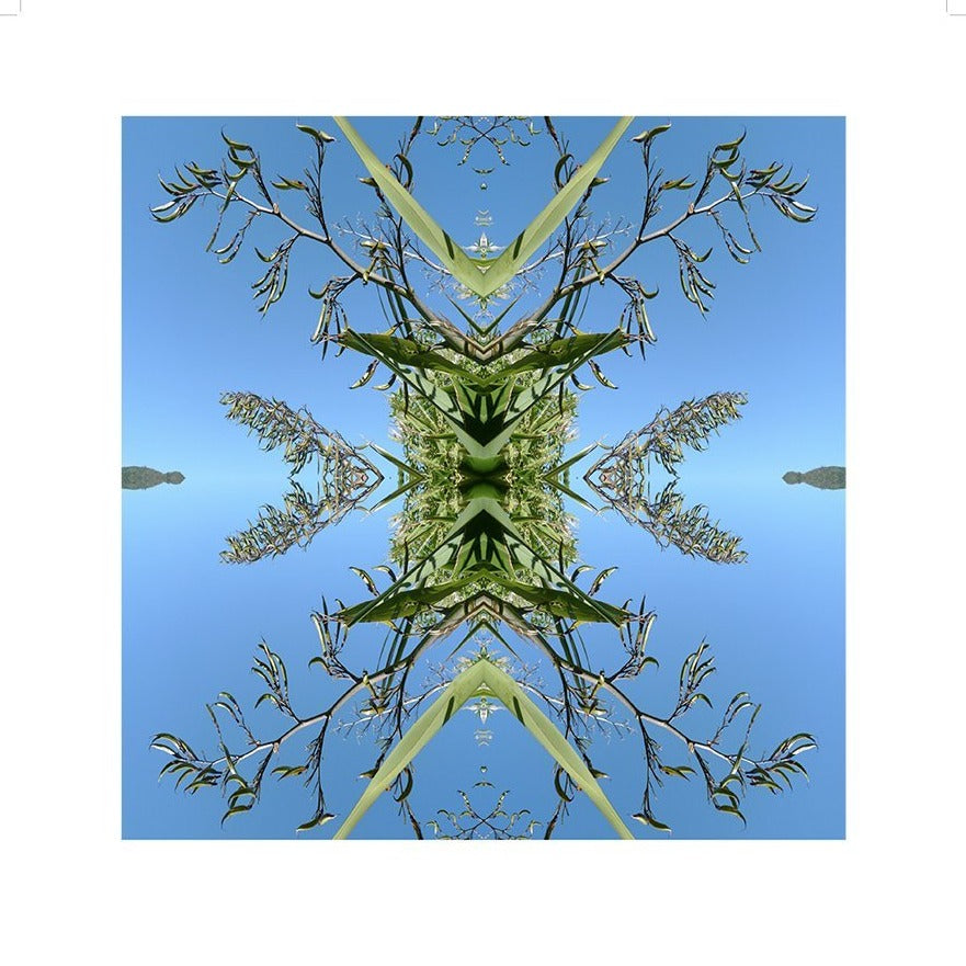 Harakeke 2, Unframed