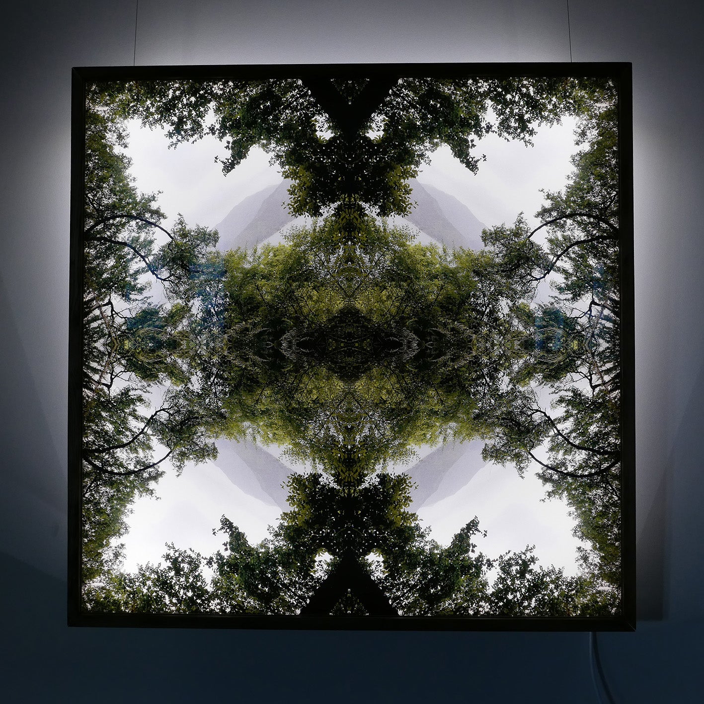 Native Lace - Lightbox