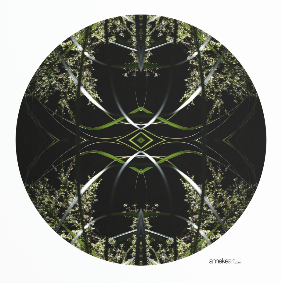 35 Return to the Mandala