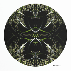 35 Return to the Mandala