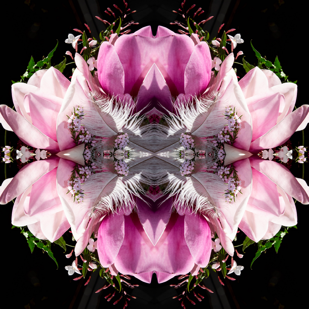 60. Backgrounds - Floral