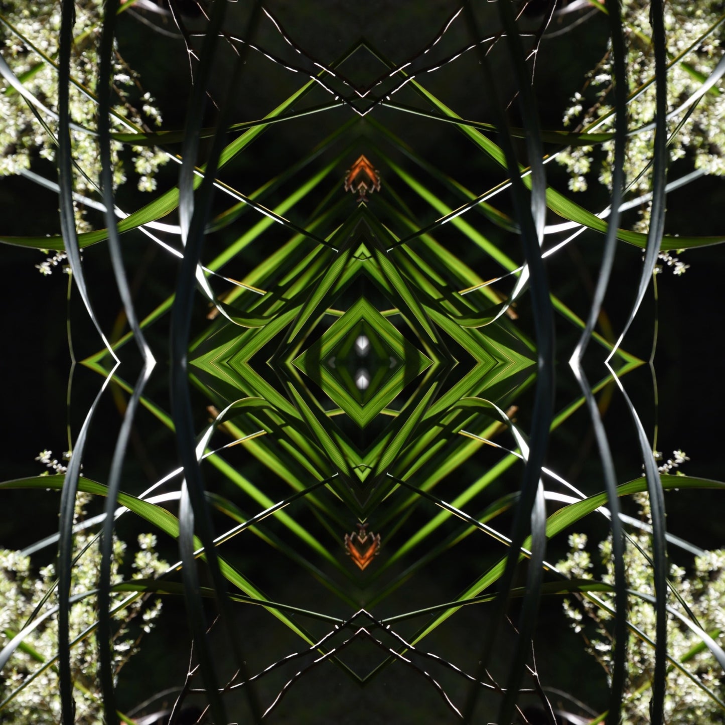 Dark Ruatahi Portal 2 - On Canvas