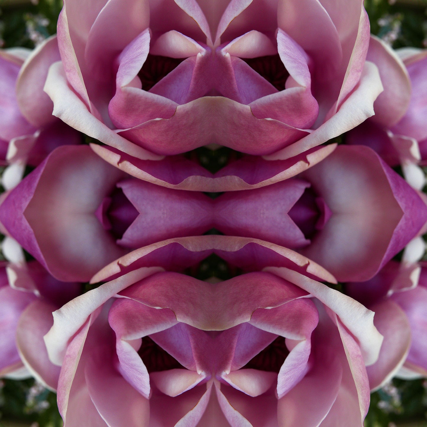 Magnolia Heart 2 - Canvas