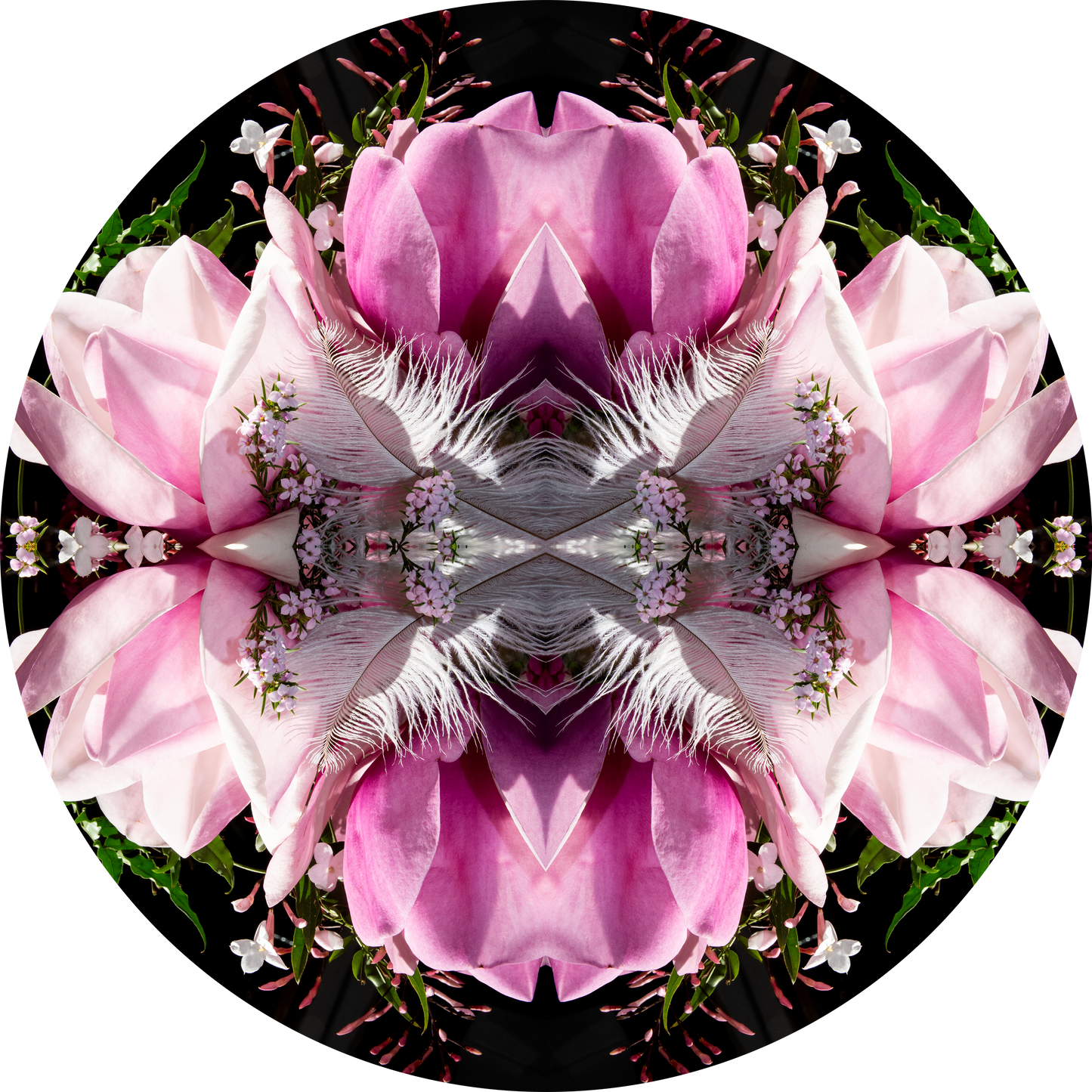 Velvet Heart 1 - Small Mandala Print