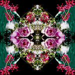 Pink Magnolia Velvet 1 - Lightbox