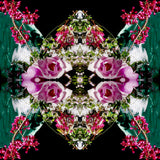 Pink Magnolia Velvet 1 - Lightbox