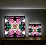 Pink Magnolia Velvet 4 - Lightbox