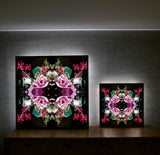Pink Magnolia Velvet 5 - Lightbox