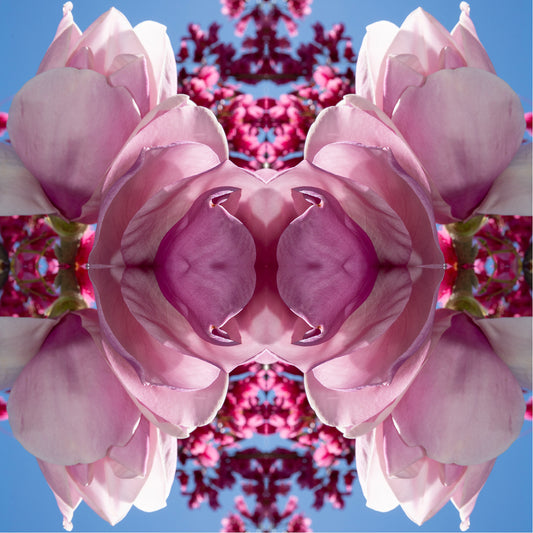 Magnolia Heart Light  2 - On Canvas