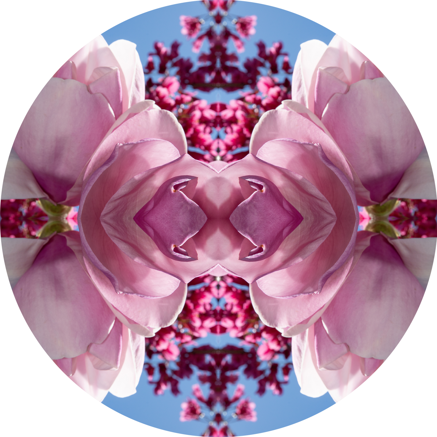 Magnolia Heart 1 - Round