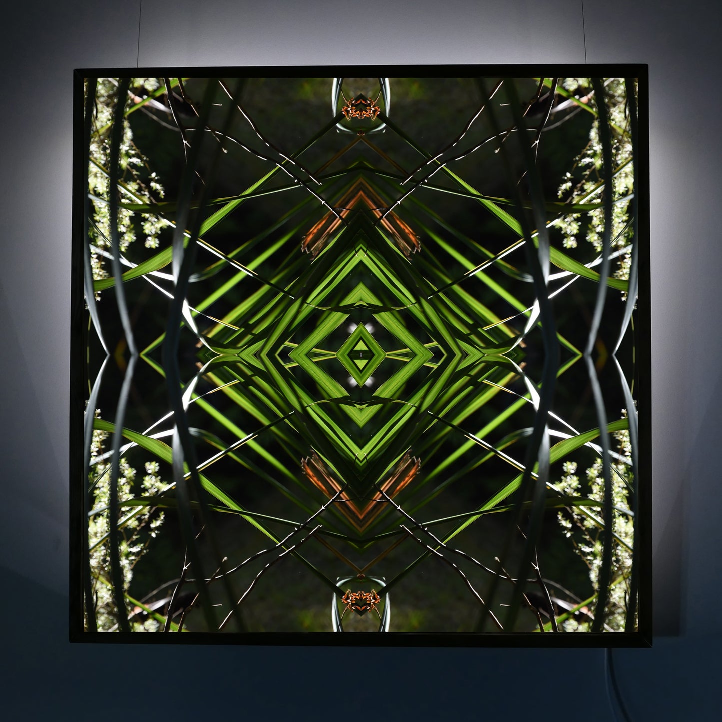 Dark Ruatahi Portal 1 - Lightbox
