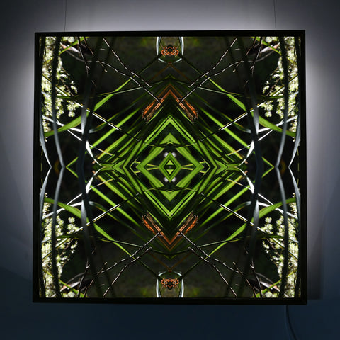Dark Ruatahi Portal 1 - Lightbox