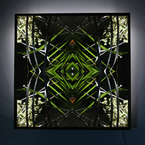 Dark Ruatahi Portal 2 - Lightbox