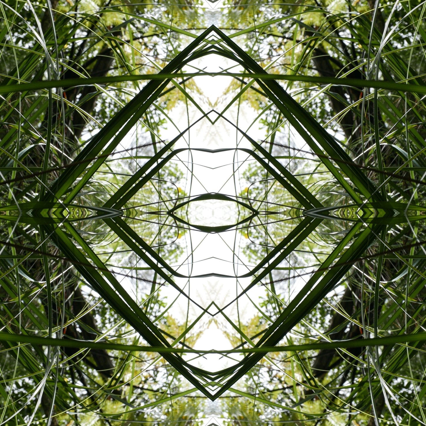 Ruatahi Diamond 1 - Canvas