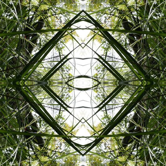 Ruatahi Diamond 1 - Canvas