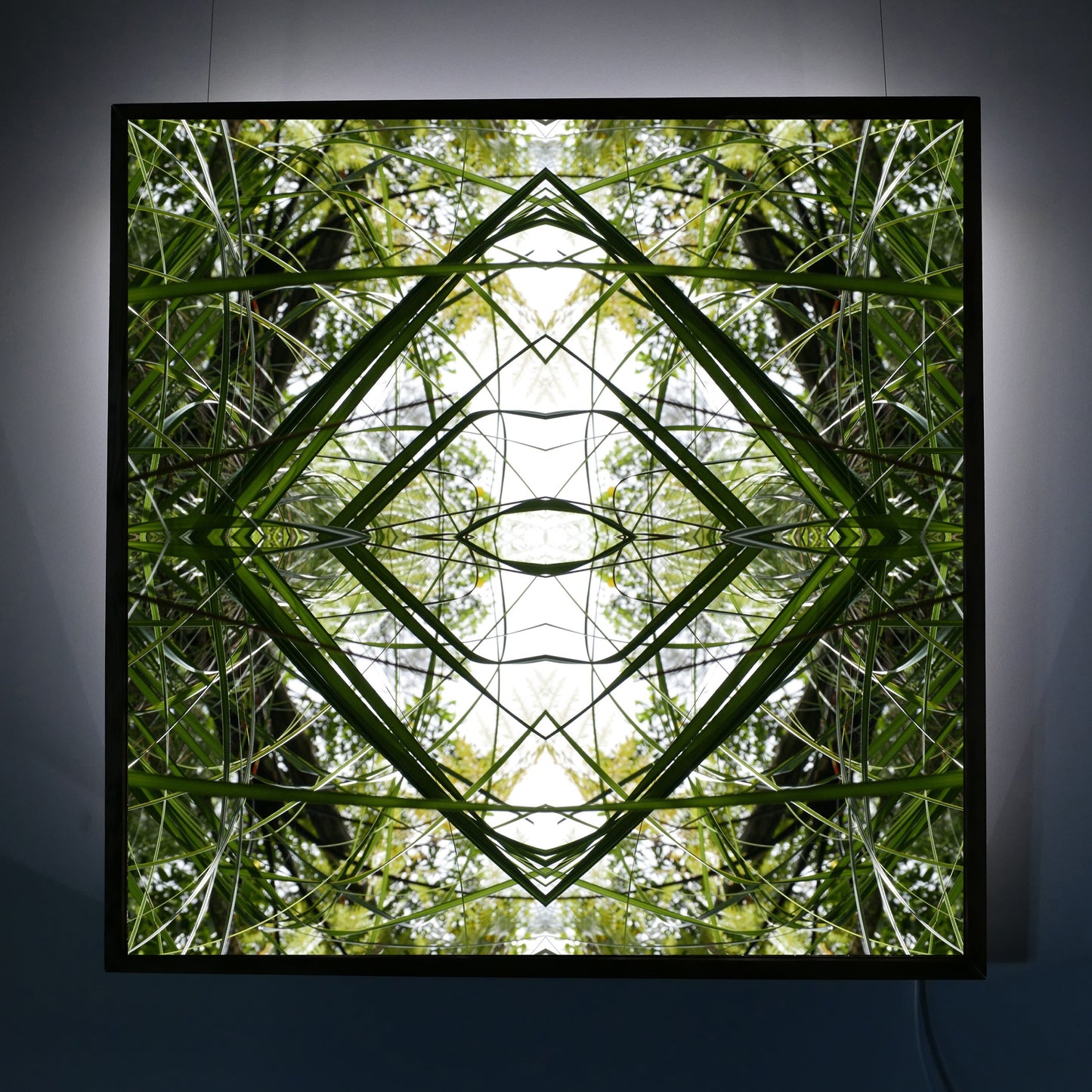 Ruatahi Diamond 1 - Lightbox