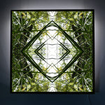 Ruatahi Diamond 2 - Lightbox
