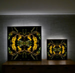 Sacred Kowhai 1 - Lightbox