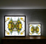 Sacred Kowhai Crown 1 - Lightbox