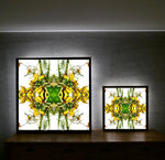 Sacred Kowhai Crown 3 - Lightbox