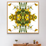 Sacred Kowhai Crown 4 - Lightbox