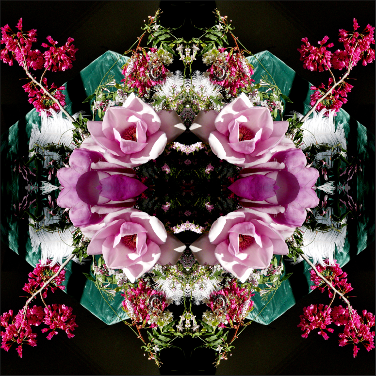 Pink Magnolia Velvet 5 - On Canvas