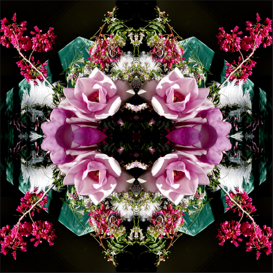 Pink Magnolia Velvet 5 - On Canvas