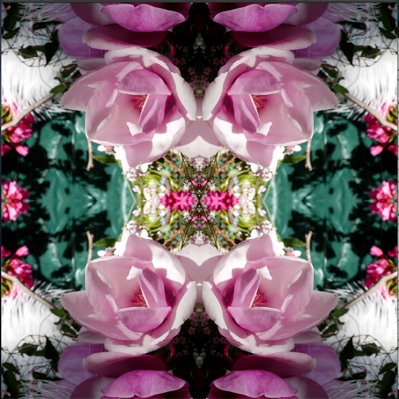 Velvet Heart 2 - Small Mandala Print